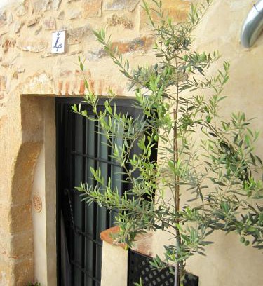 Caceres Old Town House | La Casina de Piedra ENCANTO - Parte Antigua de Cáceres