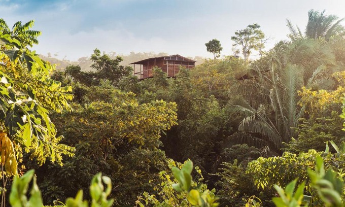 Mata de Platano Cabin | La Casita del Bosque
