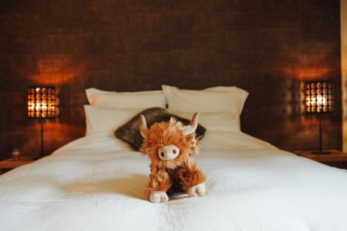 Falmagne Bed & Breakfast | La Chamallow Vachement Douillet