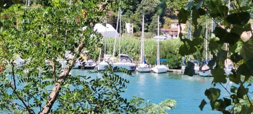 Ameglia Apartment | La Chicca