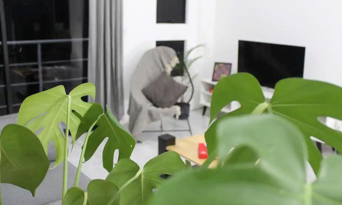 Desamparados Apartment | La Güaria B&B