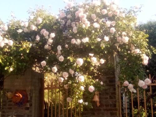 Arthonnay Bed & Breakfast | La Grille Fleurie, chambres d'hôte chez l'habitant