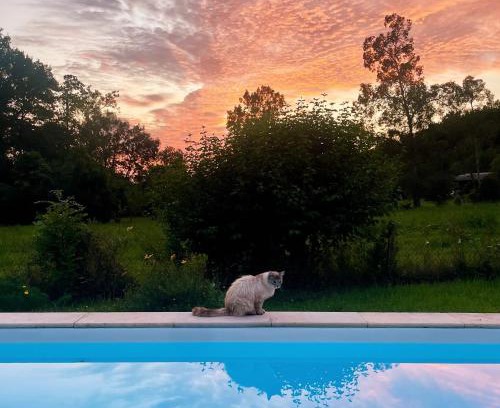 Espoey Villa | La Maison aux pieds des Pyrénées - Piscine d'exception de 25m