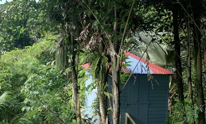 Le Vauclin Apartment | LA Maison Bleue Appt Colibri AU Milieu D'un Jardin Tropical