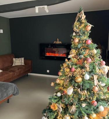 Hannut House | La maison de Timao