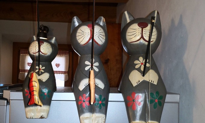 Nus Apartment | LA MAISON DES CHATS strategically located for visiting the entire Aosta Valley