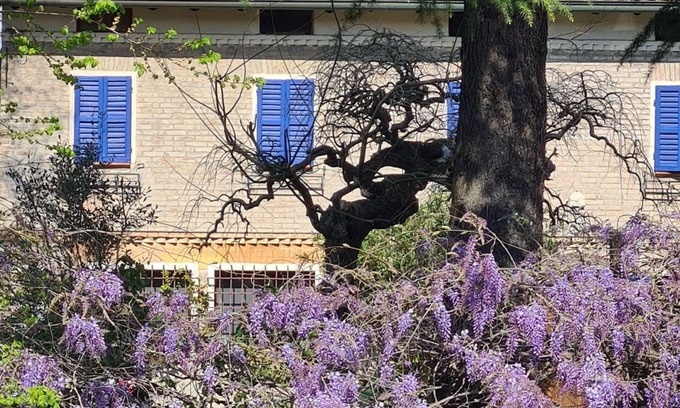 Albinea Apartment | La Maison Deux, an old farmhouse from the late 18th century, with Provençal features.