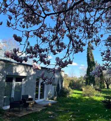 Douai House | La maison du jardin