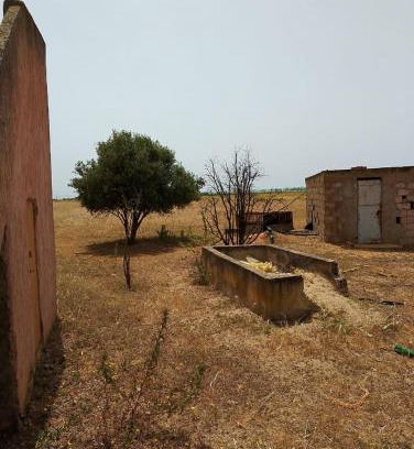 Ain Johra Other | la maison du belmokhtar Mansour