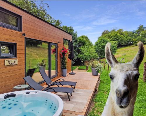 Redu Ski Chalet | La mini maison du Lama