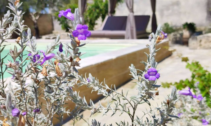 Cannole Bed & Breakfast | La pajera masseria Asteri deluxe suite