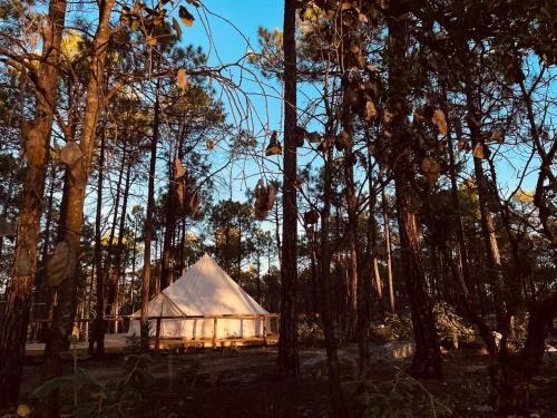 Creel Other | La Reserva