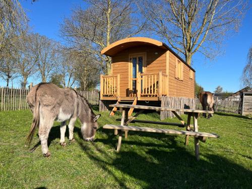 Tournai House | La Roulotte du Moulin de Thimougies