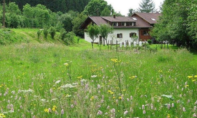 Lubine House | La Scierie