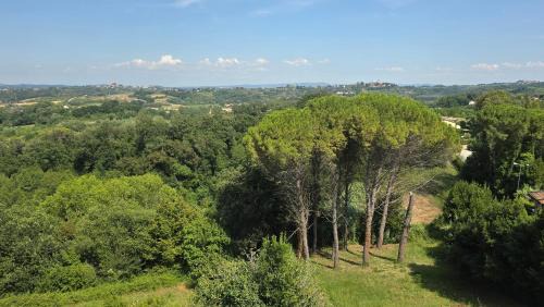 San Ruffino Apartment | La Torretta
