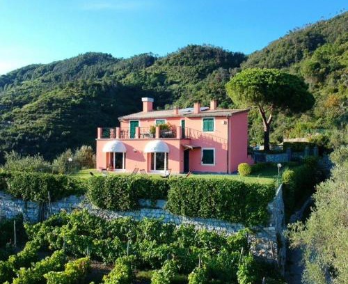 Levanto House | La Vignana - 5 Terre