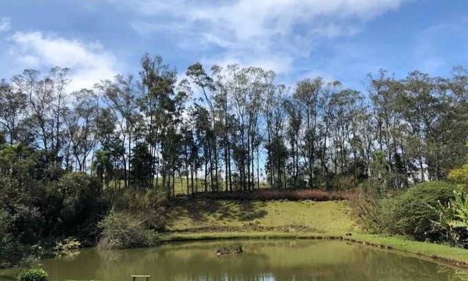 Piedade House | Lake with fish, stream with waterfall, swimming pool, orchard. Worth a look