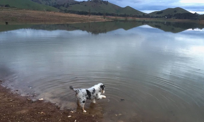 Bonnie Doon House | Lakeview Cottage - Easy Boat Access, Dog Friendly