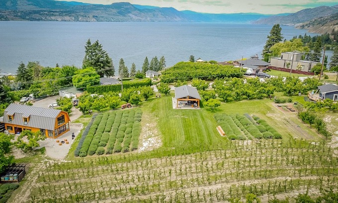 Okanagan-Similkameen Cottage | Lakeview cottage in orchard. Walk to lake & village. Wine, dine, play, relax.
