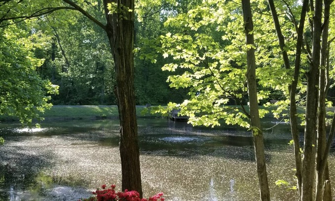 Burke Apartment | Lakeview - Tranquille and private suite Located 20 minutes from D.C