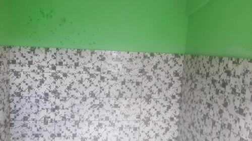 Campina de Icoaraci House | Lar dos Músicos