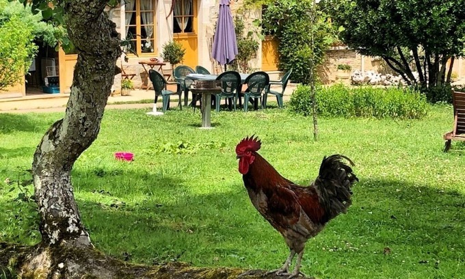 Vezelay House | Large cottage comfort in the peace in full nature