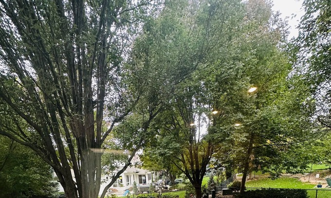 West Omaha House | Large West O House on Golf Course - CWS