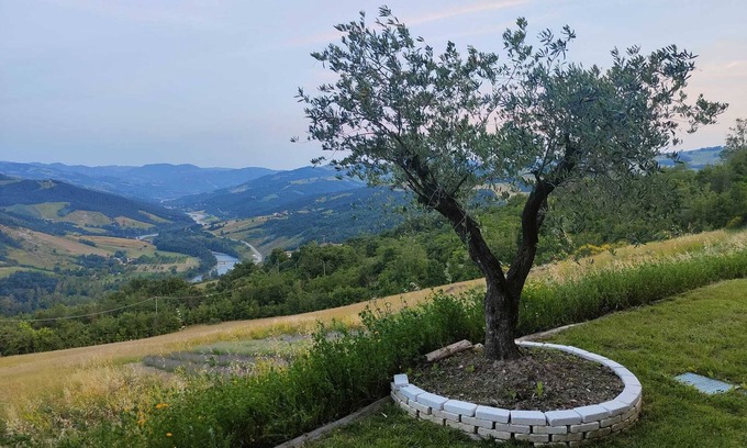 Pieve Di Trebbio House | Lavender Loft - The Window on the World