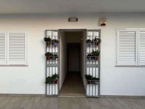 La Strea Apartment | Le Biancasette