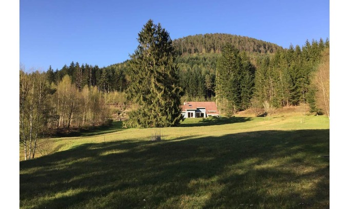 Allarmont Ski Chalet | Le Chalet Bleu. On the edge of the forest. Sleeps 7.