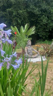 Cambo-les-Bains Bed & Breakfast | Le chant des oiseaux