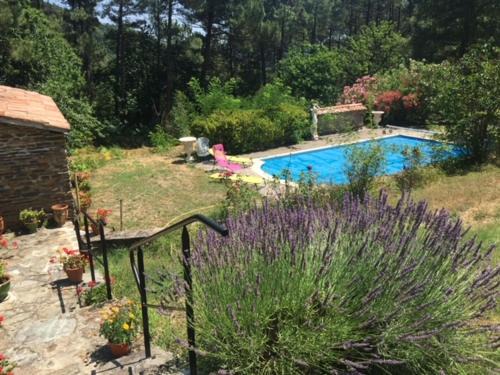 Le Collet-de-Deze Bed & Breakfast | Le Chant des Pins en Cévennes