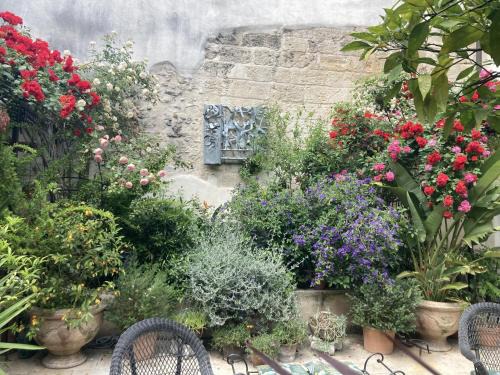 Avignon City Centre Apartment | Le Cloitre des Augustins 5 stars Spa & Fitness