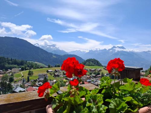 Leysin Apartment | Le Nid d'aigle apt Leysin centre avec forfait piscine sauna jacuzzi en option