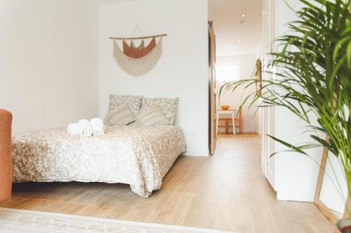 Tarbes Apartment | Le Nomada - Magnifique Studio Neuf!