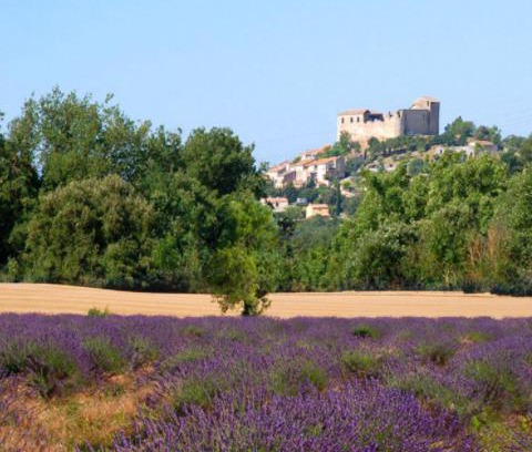 Greoux-les-Bains Apartment | Le Provence