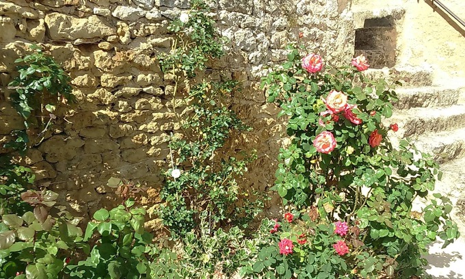 Airvault Bed & Breakfast | Le Vieux Château