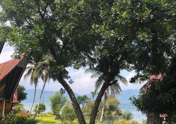 Ambarita House | Leokap Homestay