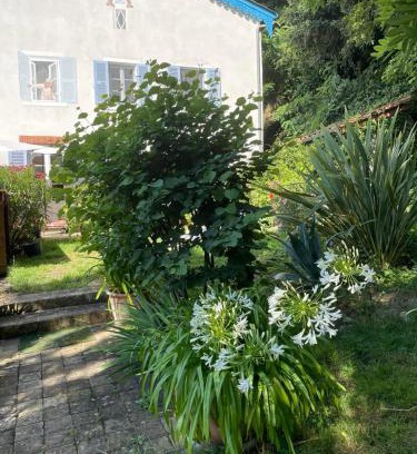 Vaux-en-Beaujolais Bed & Breakfast | Les Agapanthes