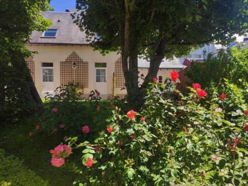 Amboise Apartment | Les Charmilles