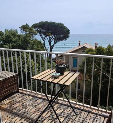 Les Sablettes Apartment | LES SABLETTES LES PIEDS dans L'EAU