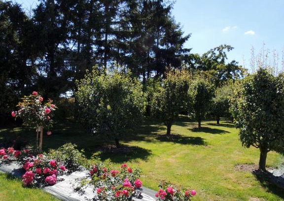 Chance Bed & Breakfast | Les Stiers