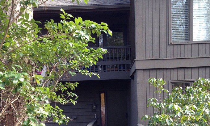 Big Canoe Condo | LEVEL, LEVEL, LEVEL Is What This Little "COUPLES" Retreat Is!