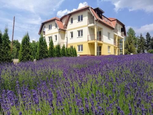 Bukkszentkereszt Apartment | Levendula Apartman Bükkszentkereszt