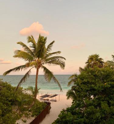 Zona Hotelera Hotel | Libelula Tulum Beachfront Hotel