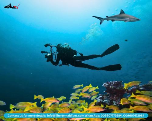 Mahibadhoo House | Liberty Guesthouse Maldives