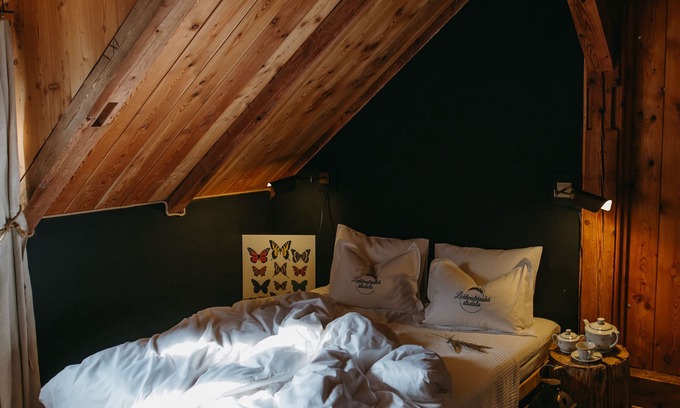 Belkovice-Lastany House | Lichtenstein Barn And Fireflies.