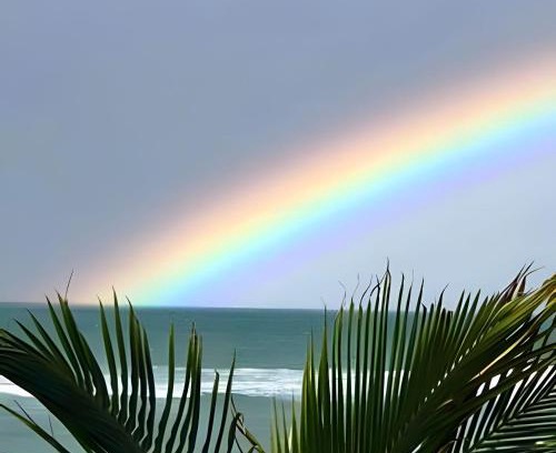 Marau Ski Chalet | Licuri Praia de Algodões se hospedar na beira mar