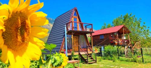 Albania Other | Life on the farm
