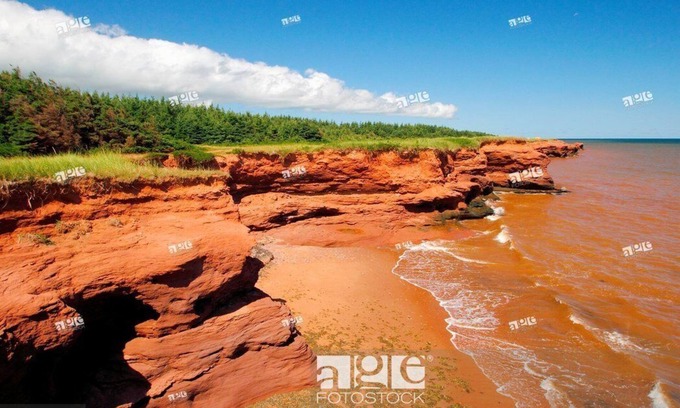 Kildare Capes House | Lighthouse on the cliffs of Kildare Capes, PEI License # 2101229